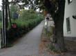 wienerwald_028