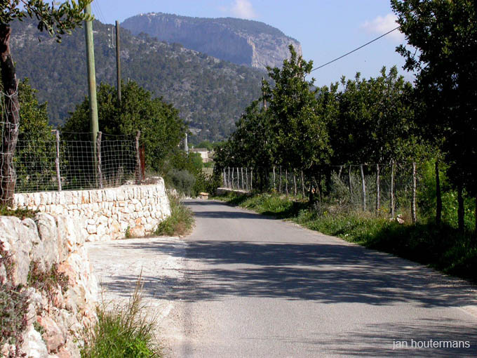 mallorca_2003_1_003