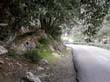 mallorca_2003_1_006
