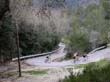 mallorca_2003_1_007