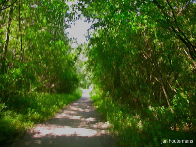 gruber_2005_km 026