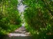 gruber_2005_km 026