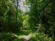 gruber_2005_km 034
