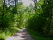 gruber_2005_km 041