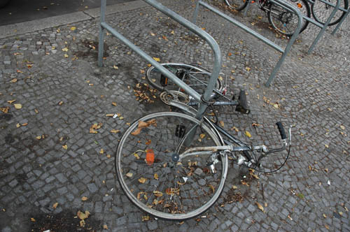 radleiche_0008