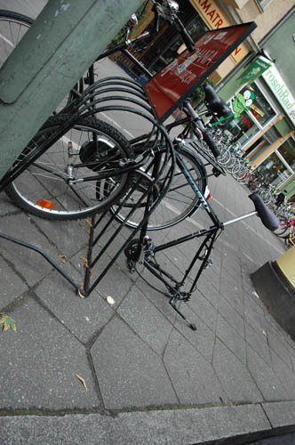 radleiche_0015