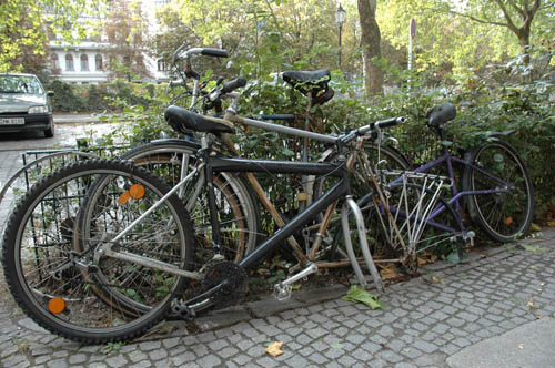 radleiche_0017