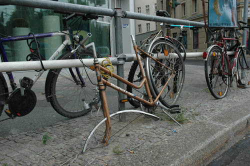 radleiche_0032