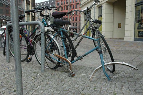 radleiche_0033