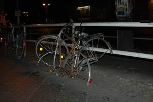 radleiche_0036