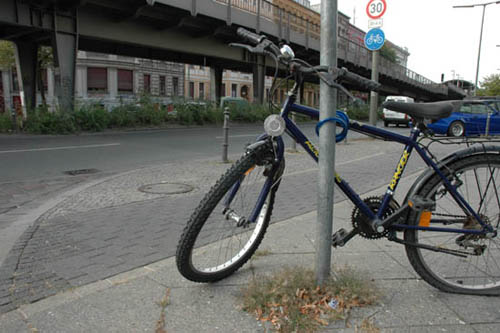 radleiche_0045