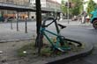 radleiche_0009