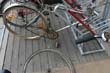 radleiche_0019