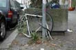 radleiche_0030
