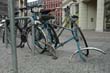 radleiche_0033