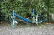 radleiche_0047