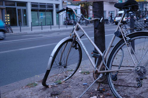radleiche_0051