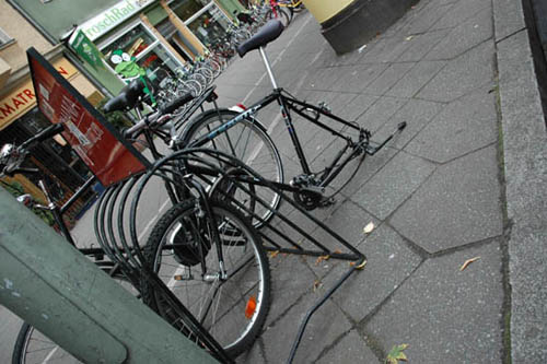 radleiche_0053