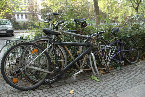radleiche_0055
