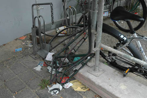 radleiche_0063
