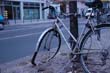 radleiche_0051