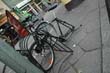 radleiche_0053