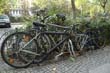radleiche_0055
