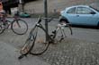 radleiche_0059