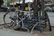 radleiche_0066