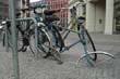 radleiche_0071
