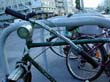 radleiche_0075