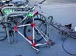 radleiche_0076