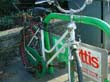 radleiche_0078