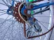 radleiche_0079