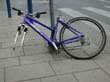 radleiche_0094