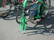 radleiche_0095