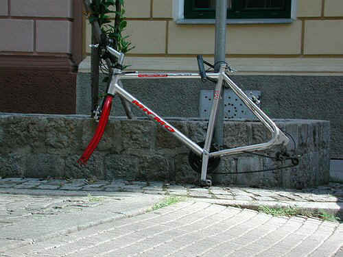 radleiche_0006