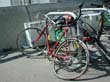 radleiche_0007