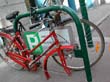 radleiche_0009