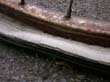 radleiche_0028
