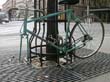 radleiche_0030