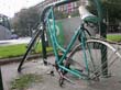 radleiche_0031