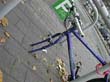 radleiche_0035