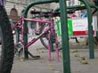 radleiche_0040