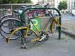 radleiche_0046