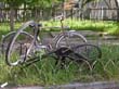 radleiche_0047
