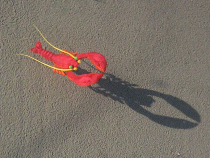 cervia_2006_kap_032
