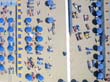 cervia_2006_kap_023