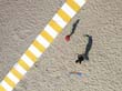 cervia_2006_kap_025