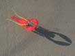 cervia_2006_kap_032